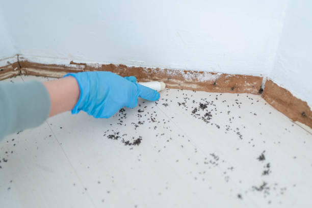 Best Residential Pest Control  in Stuart, FL